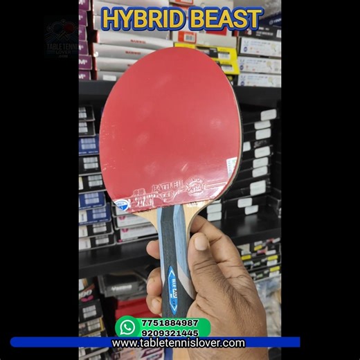 🔥 Hybrid Power Ready Bat 😮 Friendship Blue Advance + Battle 2 Provincial + Vega Pro 🏓