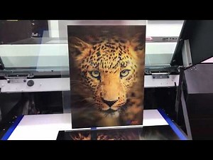 MUST SEE! Lenticular print done on UJF-6042MKII by PDS Equipment