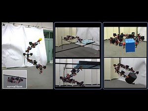 Versatile Articulated Aerial Robot DRAGON: Aerial Manipulation and Grasping by Vectorable Thrust