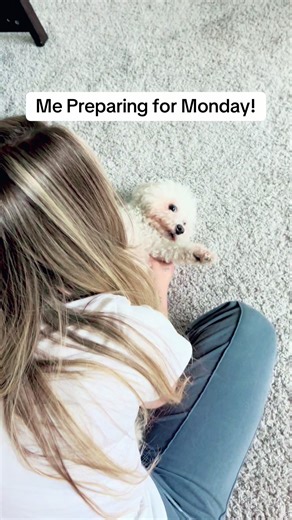 Monday #mindset #bichon_onboard #funny #cute #dogexercise