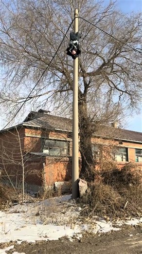 #Turn the telegraph pole upside down#Is this the electrician skill program