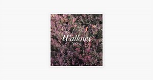 1980s Horror Film by Wallows on Apple Music