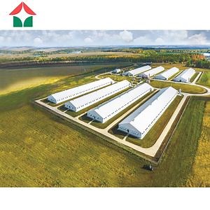 [Hot Item] Modern Farmhouse-Style Prefabricated Steel Structure Light-Design Poultry Farm House Stable Building for Poultry Farming