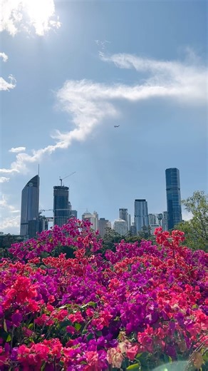 14K views · 248 reactions | There are some places in Brisbane so...