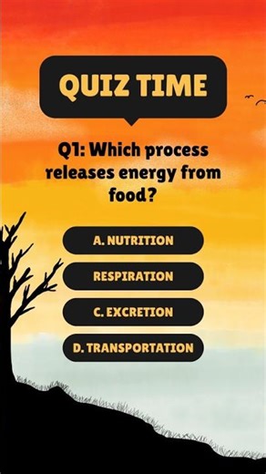 Which process releases energy from food?