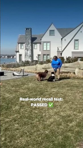 How To Train Dogs to Stay Safe at the Lake | Invisible Fence® Brand