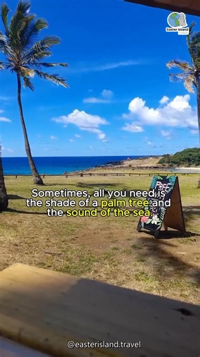 35 reactions | Easter Island Travel is your trusted tour agency in Rapa Nui. Follow us  #easterislantravel #culturarapanui #moai #aventuraenrapanui #tapati2026 | Easter Island Travel | Facebook