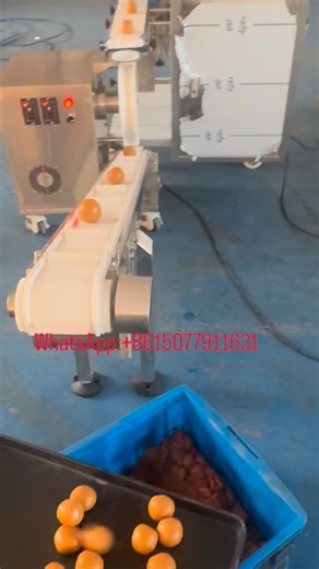 Summer Tong on Instagram: "Chocolate chip cookie extruder and rounder machine #chocolates chips cookie 🍪 equipment #bakery equipment manufacturer #bakery equipment manufacturer #food machine factory"