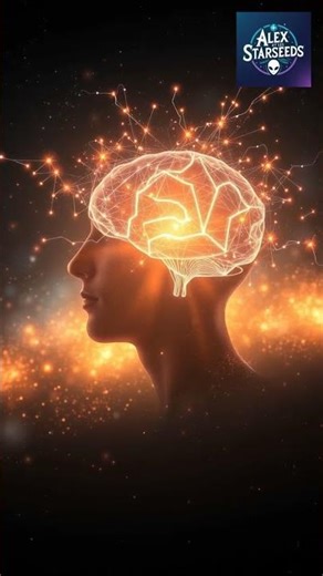 Metacognition vs metaconscience