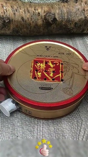 DIY Fireproof Mosquito Coil Box 🔥🪤🛡️✅