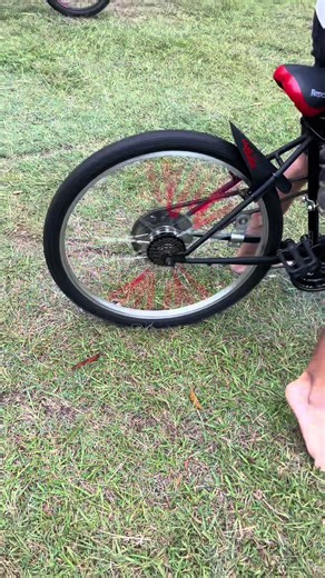 Exploring the Features of the LD80 Motorized Bike