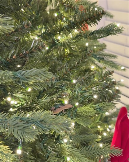 Sasha Joyman on Instagram: "I hope yall having a miracle Christmas 😘🎄🤗 I am celebrating this Christmas alone with lizard 😁 It’s a company that freaks me out but so much fun"