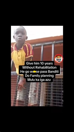 Trustedblog1 🇳🇬🇺🇸🇱🇧🇬🇧 on Instagram: "Can you imagine how this very little boy entered someone house 🏠 through the security protector and remove his glass windows 😥😳"