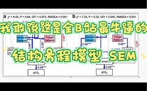 R语言保姆级教程/结构方程模型SEM/全B站最牛逼，没有之一