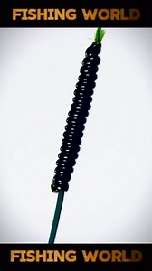 The fastest way to securely connect the cord to the fishing line! A knot that surprised many anglers #fishing #diy #shorts #short #fish #fishinglife #knots #knot #fishingvideos #fishingtrip #fisher #fishermen #fisherman #hobby #lifehacks #lifehack #how | Fishing world