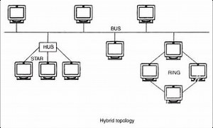 Network topology