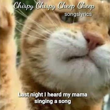Chirpy chirpy cheep cheep - songslyrics Middle of the road‪@HariLee_music‬