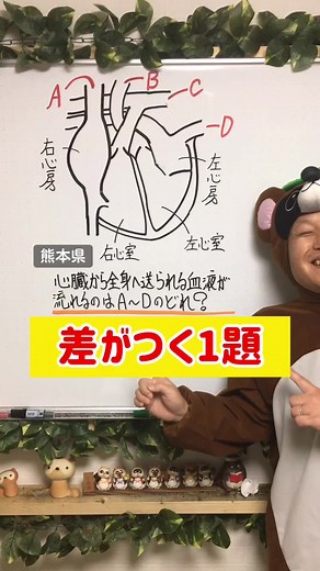 中学生向け理科勉強法のヒント