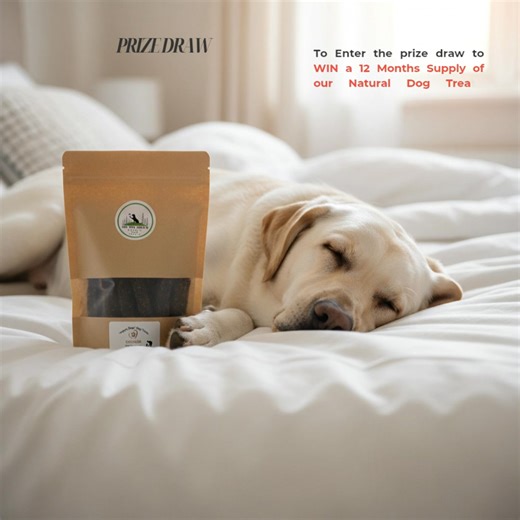 We are now officially open for the Biggest Prize Draw Giveaway we have ever offered. Win a 12 month supply of your favourite Dog Treats. Imagine the joyful wagging tail when the postman drops off his/her treats each month.殺  4 x 100g bags EVERY Month + Christmas Bonus Box  But you must enter by the 31st January #ilkleychat #naturaldogtreats #supportsmallbusinessowners @followers | On Tha Moor | Facebook