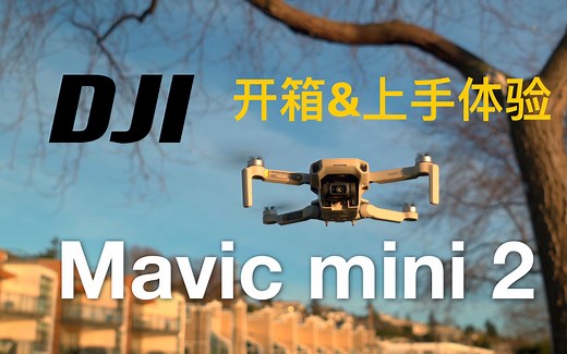 使用一个月后的详细DJI Mavic Mini 2 开箱及使用体验