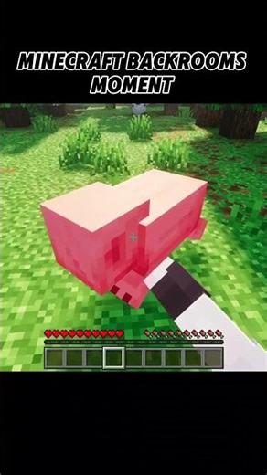 Minecraft Backrooms #minecraft
