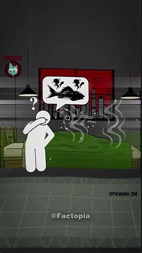 The Rotten Room 🏚️😱 Horror Stories That Still Haunt People