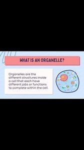 Biology Physics Chemistry on Reels