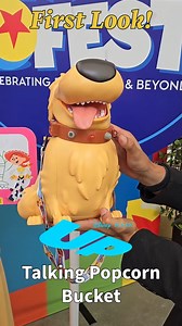 64K views · 684 reactions | Get a first look at the Dug Talking Popcorn Bucket from Pixar Fest! | Chip and Company | Facebook