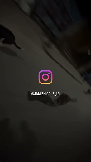 Out running dogs in his sleep