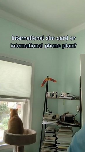 International sim card or international phone plan for travel?
