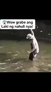 3.4K views · 42 reactions | Wow grabe ang laki nahuli nya.. #highlights #reelsfypシ | Maximo Verona | Facebook