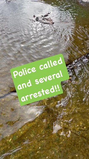 See full vids on my YouTube Exploring Alabama #fun #happy #smile #love #rare #treasure #family #cleaning #creek #explore #outdoors #dog #reels #life #support #cat #Facebookreelscontests #metaldetecting #crazy #amazing #impossible #neveragain #failure #beautiful #Wonderful #salon #beautychallenge #sunday #support #life #treasure #outdoors #reelsfb #reels #reelsviral #reelsvideo #reelschallenge #reelstrending #catsofinstagram #catstagram #cats #kittens #animals #animallover #rare #scary #crazy #po