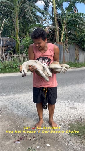 Safe Drive 🚗 Safe Life Please 🙏 🥹😭🥹#sad #viral #shorts