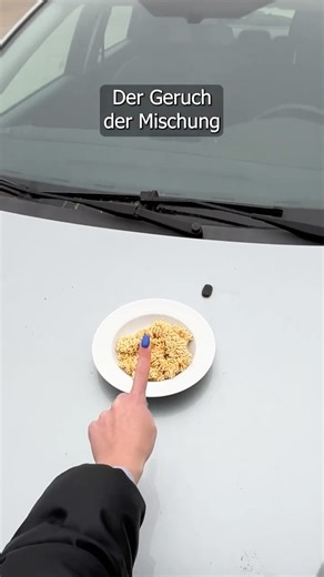 Marder umgehen mein Auto großartig – diese Mischung wirkt am besten!