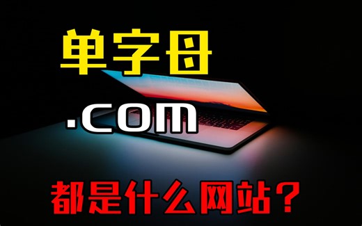 【涨知识】单字母.COM域名都是什么网站？
