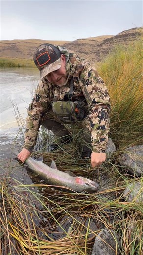 That’s what we call a picture perfect summer steelhead with all his fall colors and absolutely pinned on the Addicted Bead Hook! 🤘🎣 Something wild about this fish… he’s rocking a clipped dorsal fin! Ever seen that before? #SteelheadFishing #AddictedFishing #PNWFishing #CatchAndRelease #fishinglife | Addicted Fishing