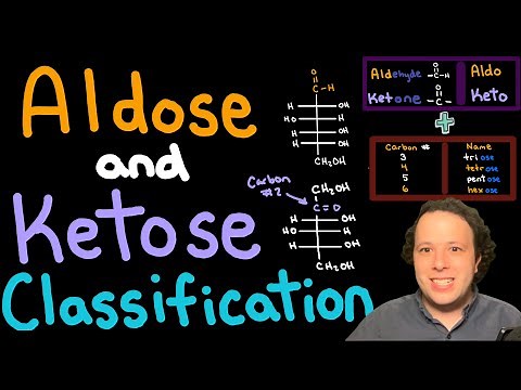 Carbohydrate Basics: Classifying Aldoses and Ketoses for Beginners