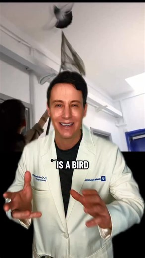 Is a bird flying in a hospital a good or bad omen? Do you think it has greater meaning? I actually experienced it years ago.#hospitallife #hospitaltiktoks #spirtualtiktok #doctor #science #medicine #healthcare #doctor #neurosurgery | Orengottfried