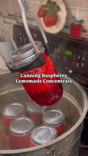 @prairie_creek_homestead 🍋 Raspberry Lemonade Concentrate 🍋1. Puree 7 cups Raspberries and squeeze 5 cups fresh lemon juice. Strain the lemon juice to remove pulp and seeds. 2. To a stock pot add the puree, juice, and 6 cups of pure can sugar to medium high heat, stirring until the sugar dissolves, but not boiling. 3. Ladle into clean jars to 1/4 inch headspace, wiping rims clean and adding @forjarsusa lids and bands to fingertip tightness. Process in a water bath canner for 15 minutes. Turn o
