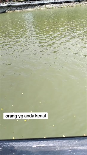 Recognizing Faces: A Guide to Understanding Facial Recognition Technology