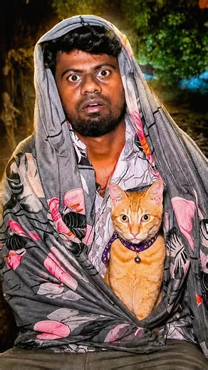😳தம்பி உனக்கு ஓர் அதிர்ச்சி | Cat atrocious | balasvoyage