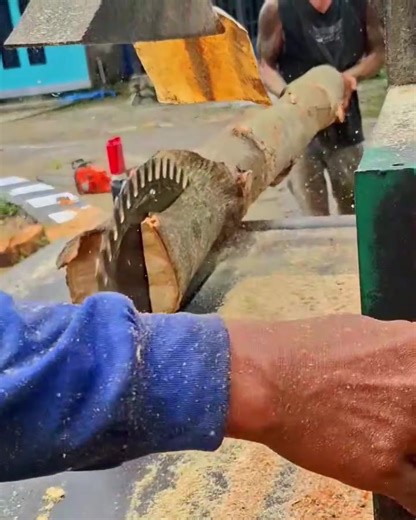 Milling a Stunning Big Pin Oak