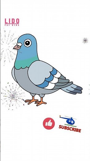 How to Draw a Pigeon Super Easy Bird Drawing for Kids and Beginners #lidoartworks