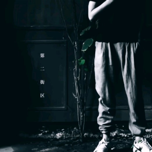 风吹丹顶鹤0.8x（完整版）