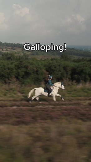 Equestrian Drone Shot: Galloping Horses in Stunning Aerial Footage
