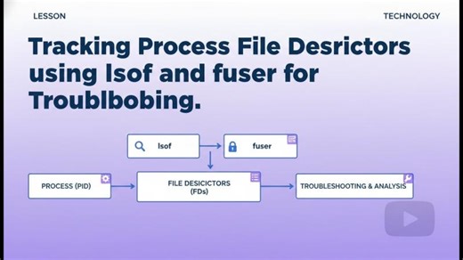 Linux Troubleshooting: Identify Process Using File with lsof fuser | systemdr llp posted on the topic | LinkedIn