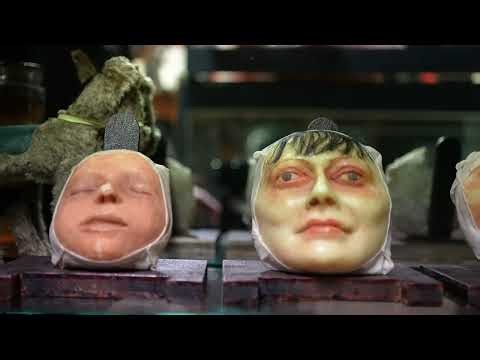 Museum of Curiosities - Dublin's Strangest Museum