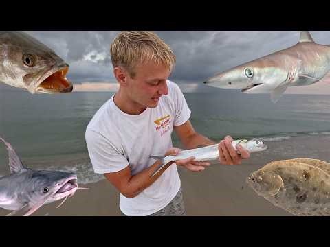 Florida Surf Fishing | Shark, Flounder, Ladyfish, Speckled Trout, Catfish, Mullet, Bluefish