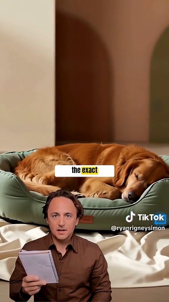 @petpivot's average order value is $86 â€” the HIGHEST premium in this 7-brand series. They're doing $1.7M/mo on TikTok Shop selling premium pet products. 3-move play: 1. The Rescue Dog Story â€” every demo is a rescue or senior dog testimonial. Product becomes a love story. 2. The Vet-Endorsed Wedge â€” credentialed pet professionals say the magic words on camera. 3. The Owner Guilt Hook â€” the script makes the owner feel like they OWE their dog this product. Premium pricing only works when em