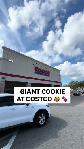 Harry Potter Cookie Bars Now at Costco for Kids